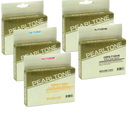 Pearltone® – Cartouche d'encre 125 2BK/C/M/Y rendement standard paq.5 (T125CL5) – Modèle économique. - S.O.S Cartouches inc.